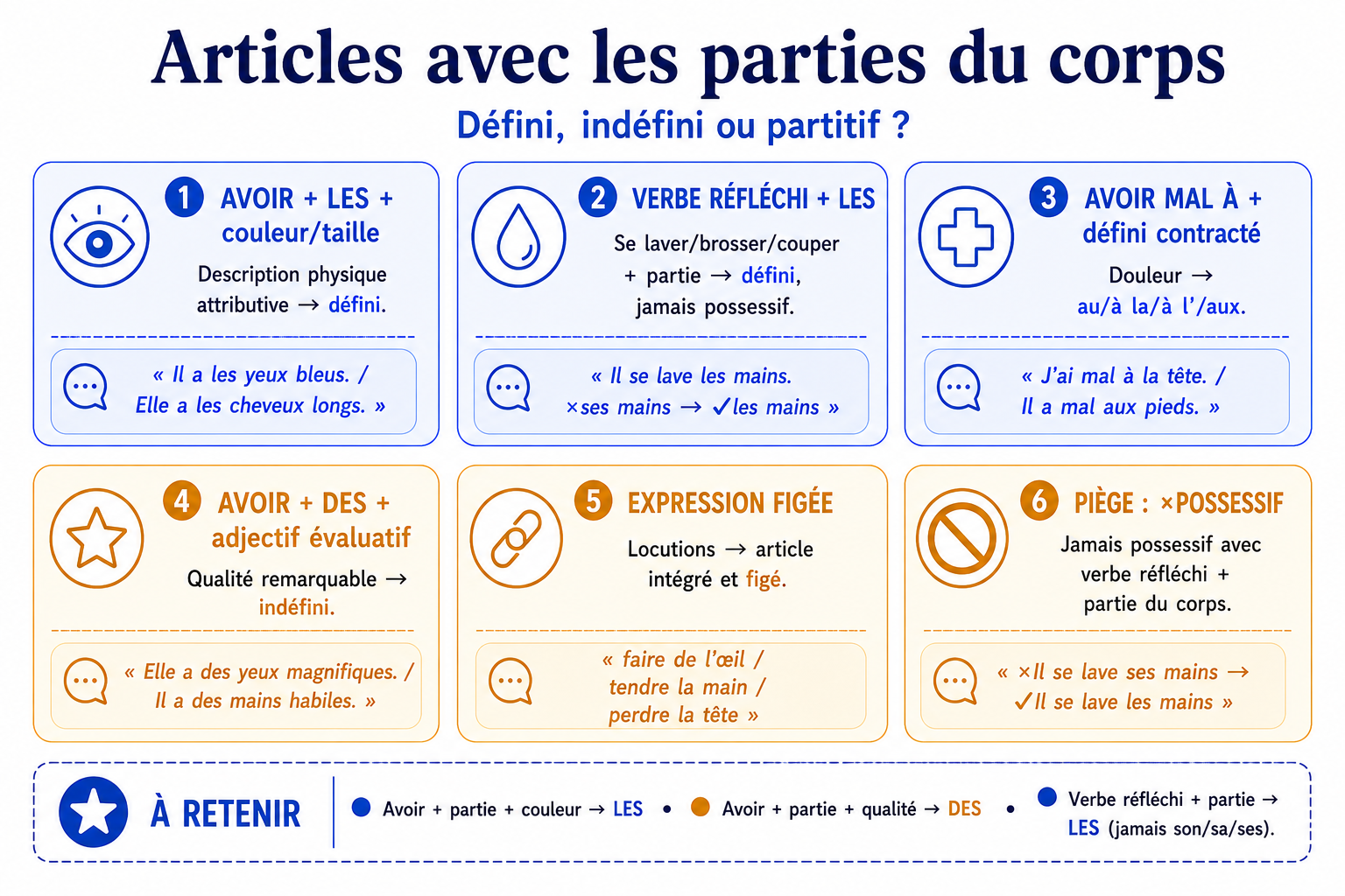 Grille des cas avec article défini ou indéfini pour les parties du corps
