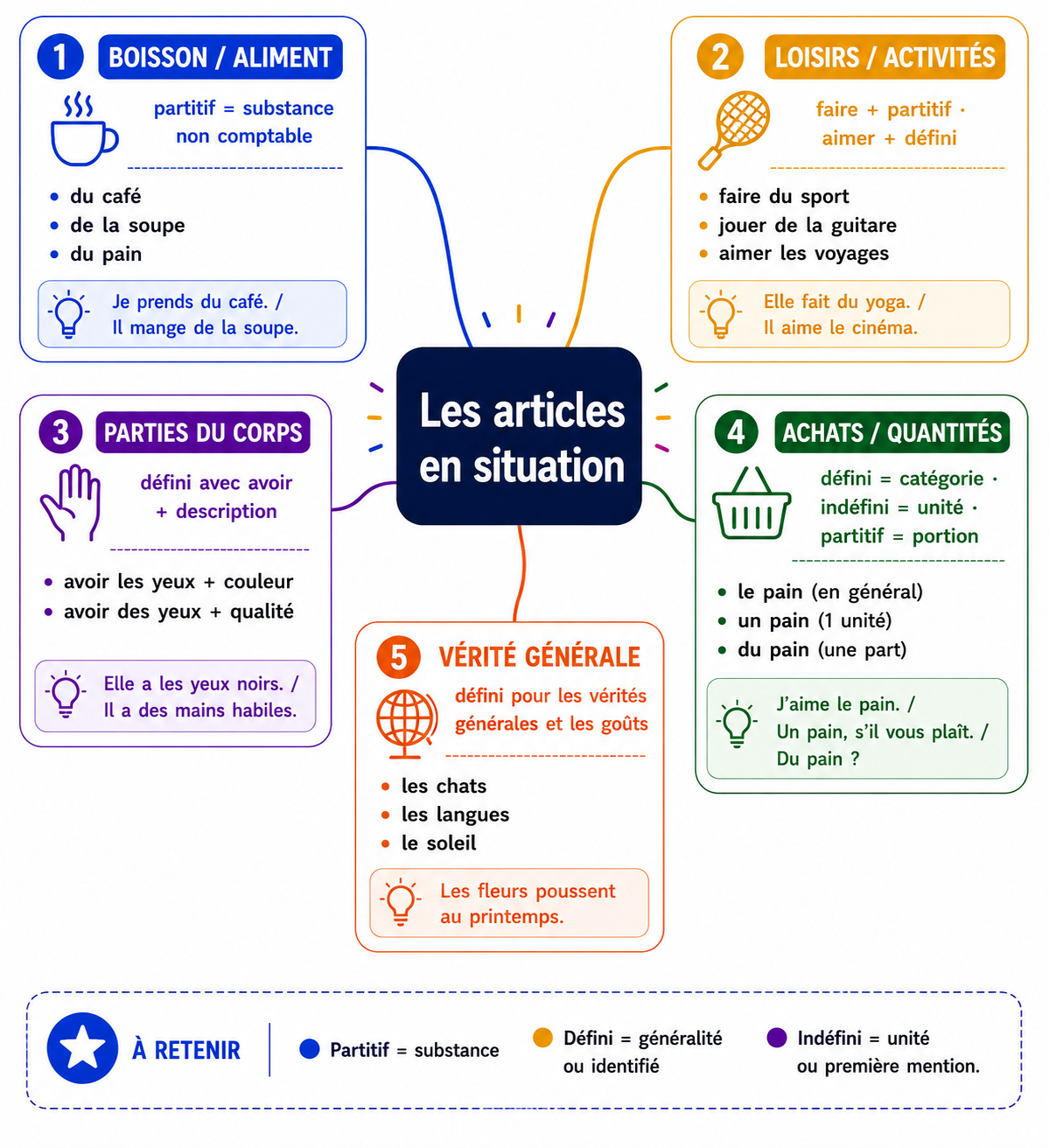 Carte mentale : les articles en situation (boissons, loisirs, parties du corps, achats, vérités générales)