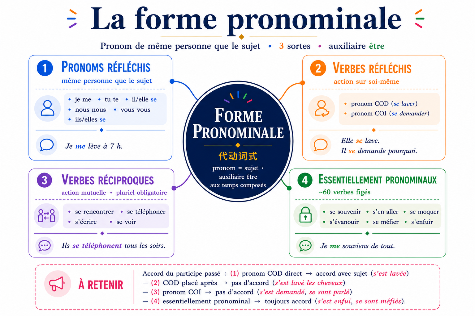 Carte mentale de la forme pronominale : pronoms réfléchis, 3 sortes (réfléchis, réciproques, essentiellement pronominaux), auxiliaire être, accord du participe passé