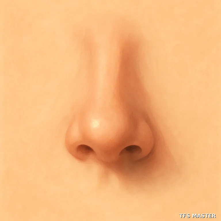 le nez — illustration